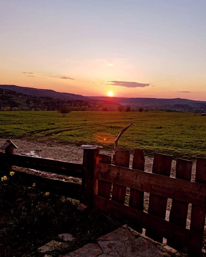 Jabloniowy Sad Kalwaria Paclawska Villa Bagian luar foto