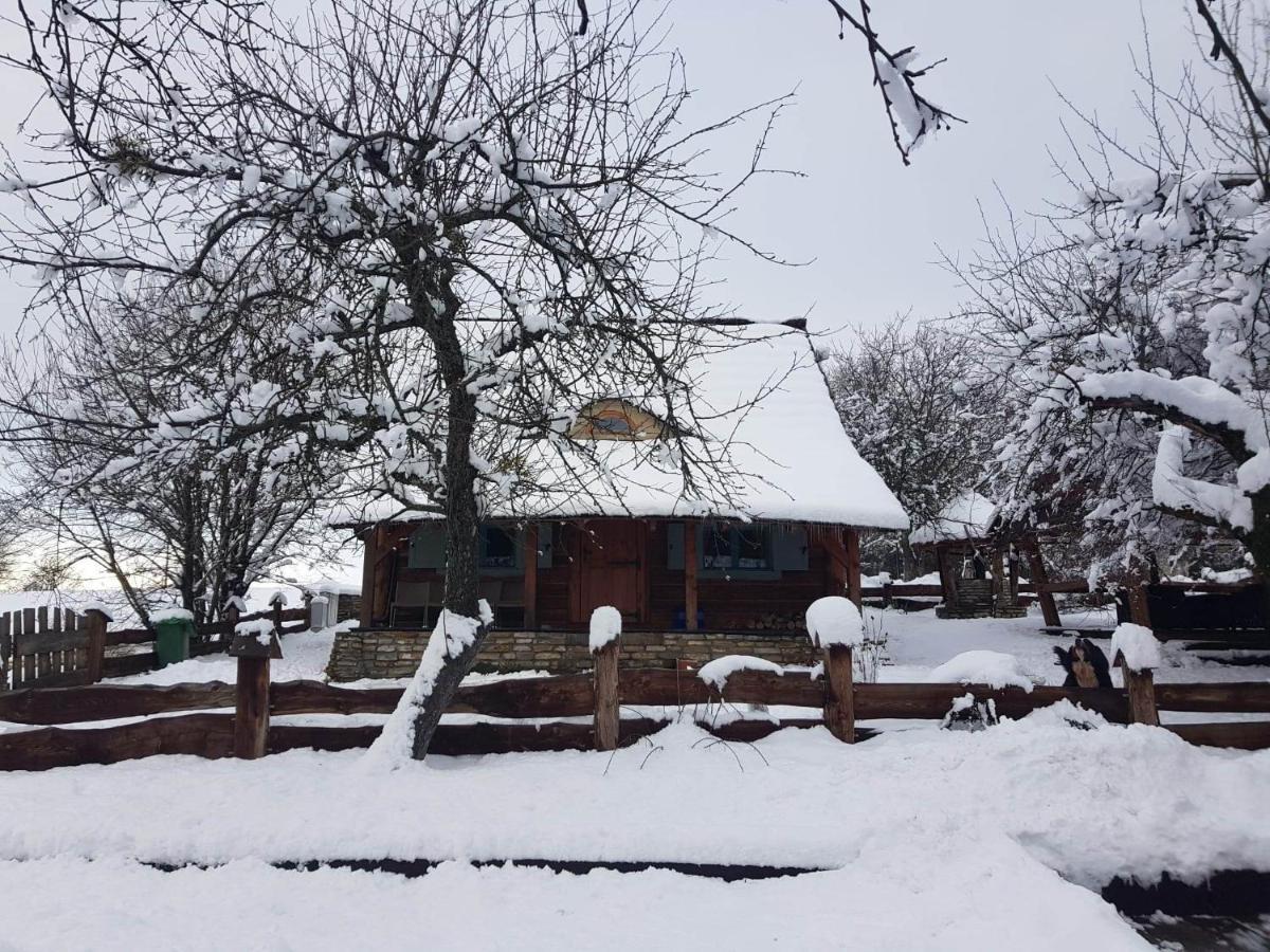 Jabloniowy Sad Kalwaria Paclawska Villa Bagian luar foto