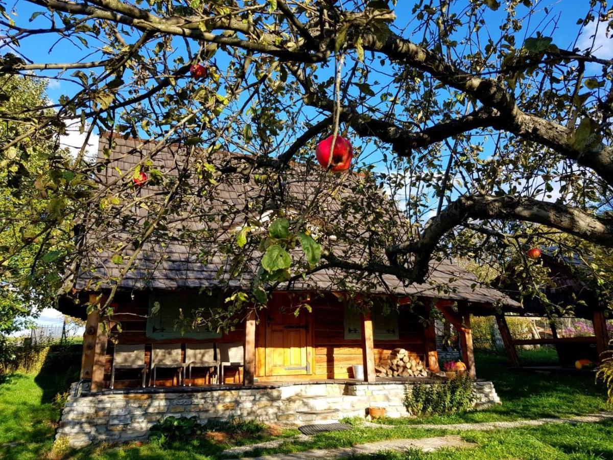 Jabloniowy Sad Kalwaria Paclawska Villa Bagian luar foto