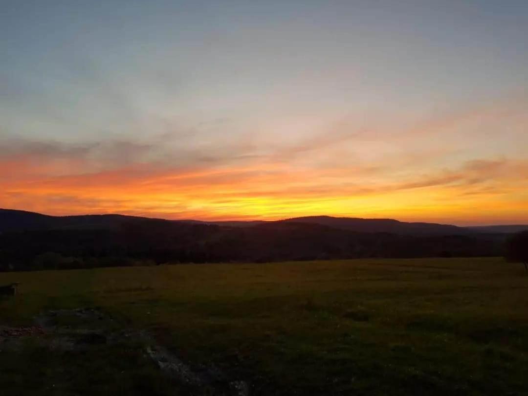 Jabloniowy Sad Kalwaria Paclawska Villa Bagian luar foto