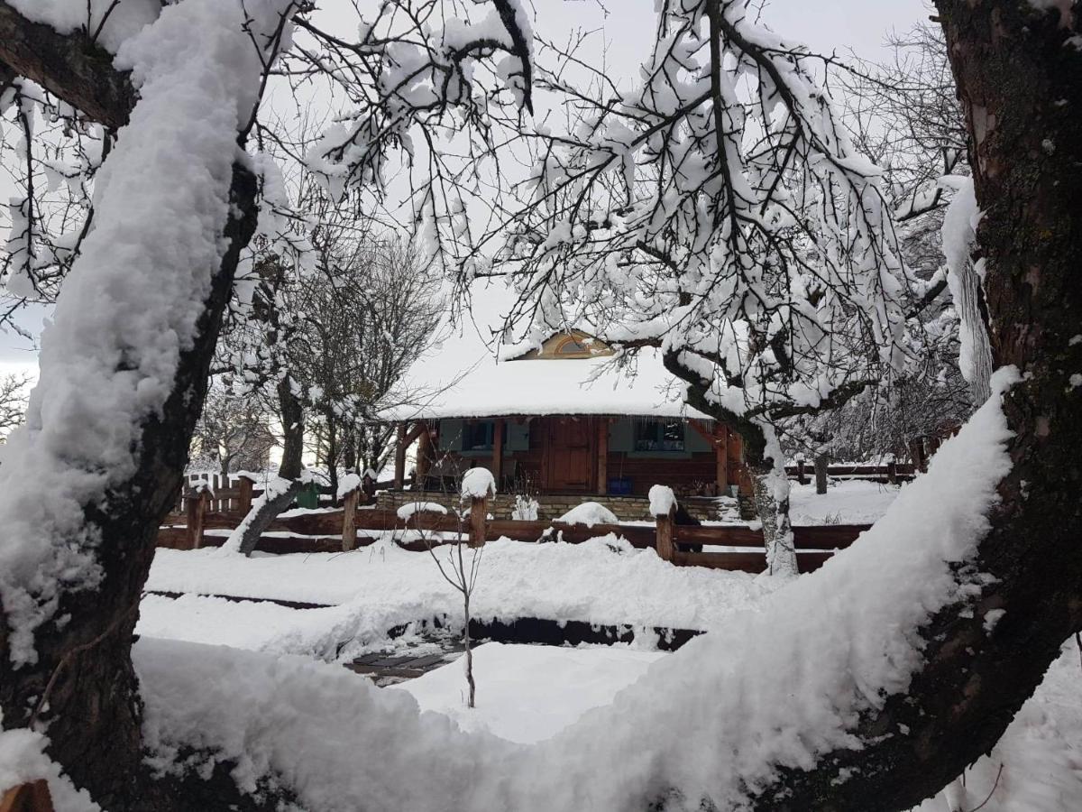 Jabloniowy Sad Kalwaria Paclawska Villa Bagian luar foto