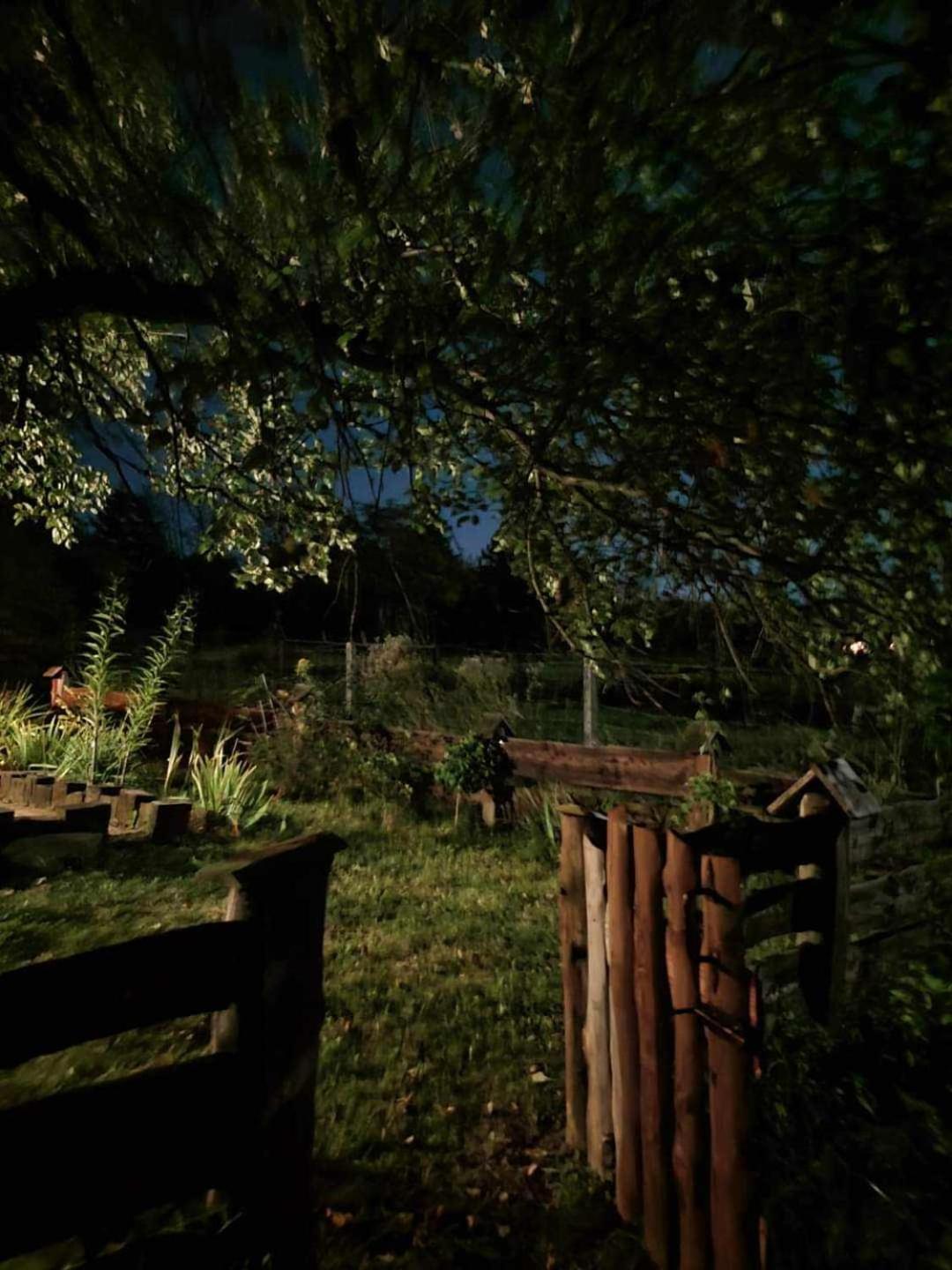 Jabloniowy Sad Kalwaria Paclawska Villa Bagian luar foto